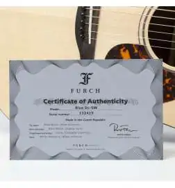 Furch Blue DC-SW