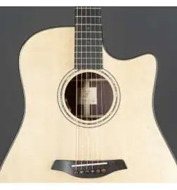 Furch Yellow Dc SR