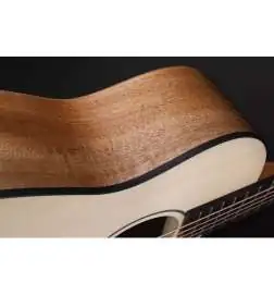 Furch Pioneer-EM a