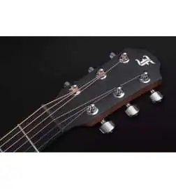 Furch Pioneer-EM a