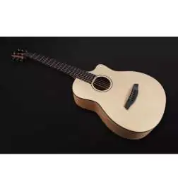 Furch Pioneer-EM a