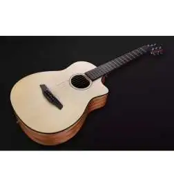 Furch Pioneer-EM a