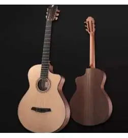 Furch GNC 2-SW