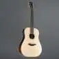 Furch D Green-SR
