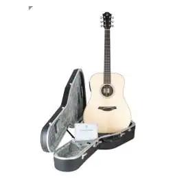 Furch D Green-SR
