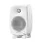 Genelec 8020 DWM aktywne monitory studyjne