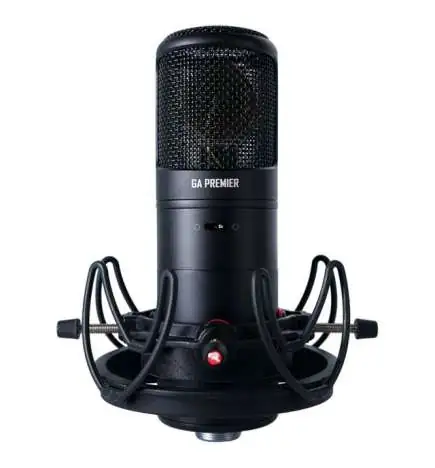 Golden Age Audio Premier GA-8000