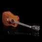 Guild D-1212 12-String