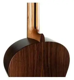 Hanika 54 PF Spruce Top. solid