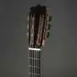 Hanika Flamenco KF