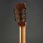 Hanika Flamenco KF