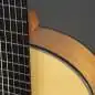 Hanika Flamenco KF