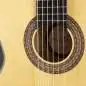 Hanika Flamenco KF