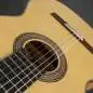 Hanika Flamenco KF