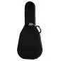Hiscox PRO II-GAD Dreadnought