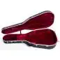 Hiscox PRO-II-GAD Dreadnought Case