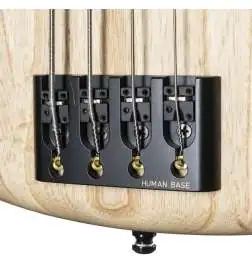 Human Base Roxy B4 Fretless Natural