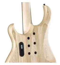 Human Base Roxy B4 Fretless Natural