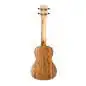 Kala KA-PWC Pacific Walnut