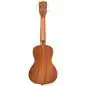 Kala Swell Concert Ukulele