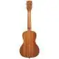 Kala Far Out Concert Ukulele