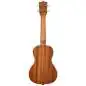 Kala Wipeout Concert Ukulele