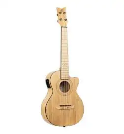 Ortega RUNAB-TE