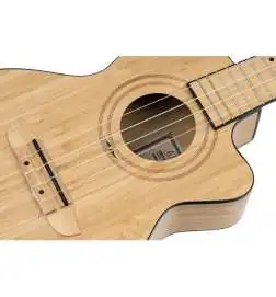 Ortega RUNAB-TE