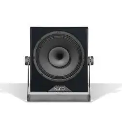 KS-Digital C100-Reference (black, left) monitor da studio attivi