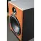KS-Digital A-100 cherry actieve studiomonitoren