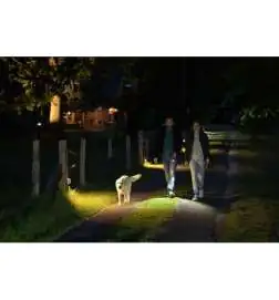 LED Lenser P7R Core