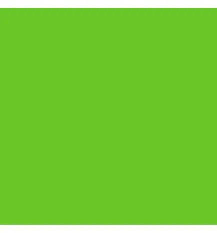 Lee 089 Farbfolie 50 x 122cm Moss Green