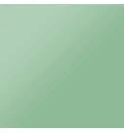 Lee 124 Farbfolie 762 x 122cm dark green