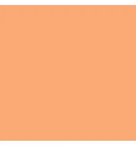 Lee 134 color foil 762 x 122cm golden amber