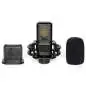 Lewitt LCT 441 Flex Microfono a condensatore