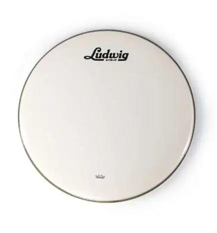 Ludwig Pelle grancassa P3 24"