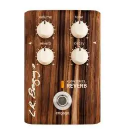 L.R.Baggs Align Reverb