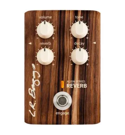 L.R.Baggs Align Reverb