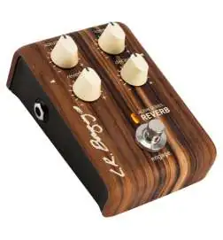 L.R.Baggs Align Reverb