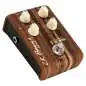 L.R.Baggs Align Reverb