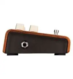 L.R.Baggs Align Reverb