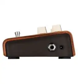 L.R.Baggs Align Reverb