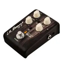L.R.Baggs Align Delay