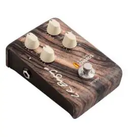 L.R.Baggs Align Chorus