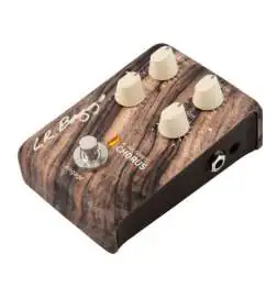 L.R.Baggs Align Chorus