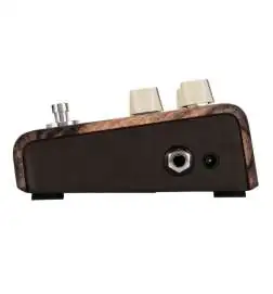 L.R.Baggs Align Chorus