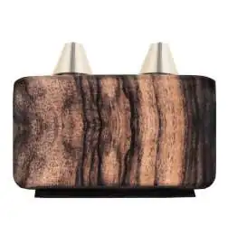 L.R.Baggs Align Chorus