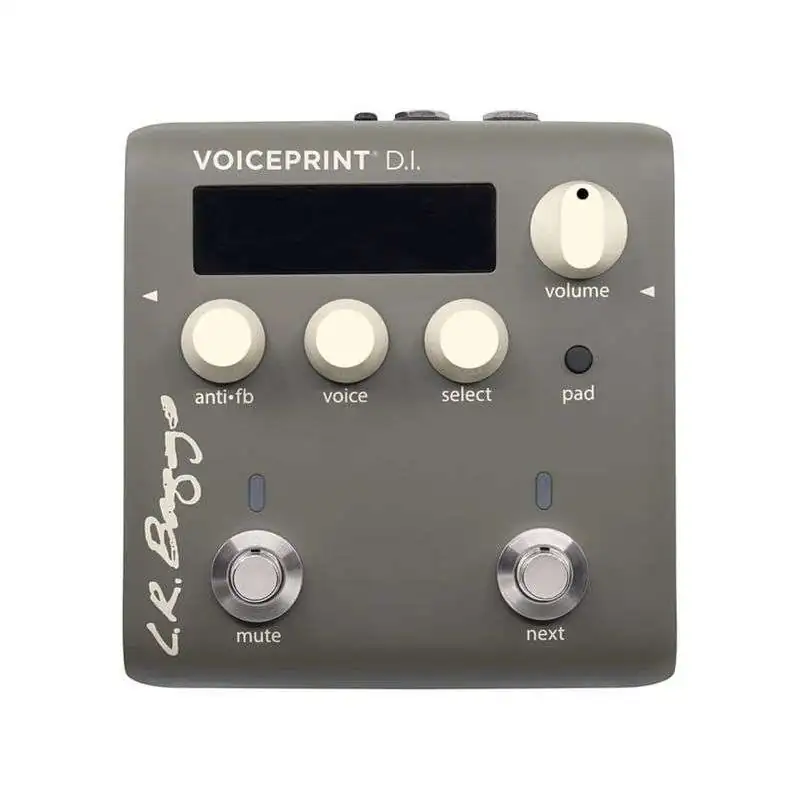 L.R.Baggs Voiceprint DI