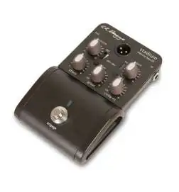 L.R.Baggs Stadium Electric Bass DI