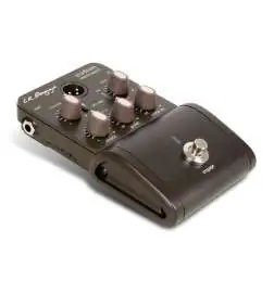 L.R.Baggs Stadium Electric Bass DI